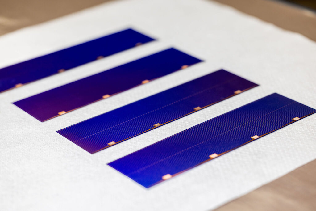 solar cells lined up on white sheet